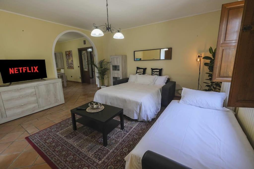 بيزا Villa Luxury Pool & Garden المظهر الخارجي الصورة